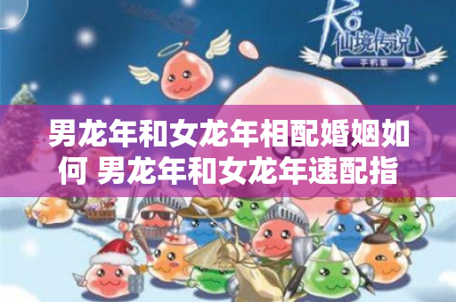 男龙年和女龙年相配婚姻如何 男龙年和女龙年速配指数