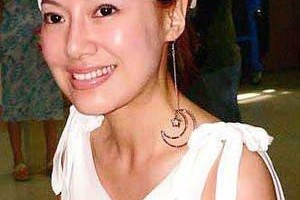 巩汉林夫妇状告广告公司——周彦宏望私下和解