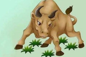 属牛人命里的贵人 事业贵人又是谁呢