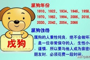 1976年10月10日中午11-13点出生性格、运势和命运