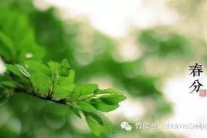 春分天气暖和了吗 2024年春分天气怎么样？