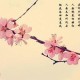 2024年人面桃花处处爆发的生肖
