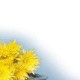 穷人的八字 什么八字命理的人是穷人命