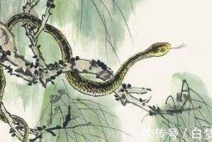木龙年好吗 解析木鸡人的命运性格