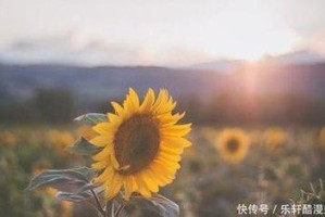 属猴男遇到喜欢的人怎么追 怎么追到自己心上人