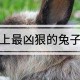 面相凶恶杀气大的男人 怎么通过面相得知男人性格