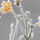 2024年小雪是几月几日，2024年小雪是哪天