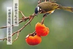 霜降是什么时候？霜降是什么意思？霜降吃什么？