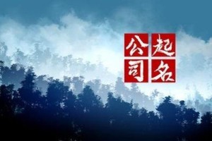 电脑公司起新颖名字使用什么技巧适合