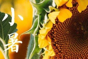2024年小暑是什么时候 2024小暑节气是哪天