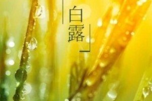 2024年白露是什么时候 2024白露节气是哪天