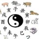 1979年12月12日中午11-13点出生性格、运势和命运