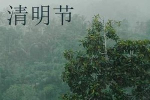 2024年清明是什么时候 2024清明节气是哪天