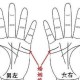 手相感情线看婚姻 感情线看你婚姻是否幸福