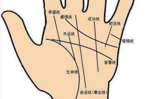 两条事业线代表了什么 有两条事业线的人命运好吗