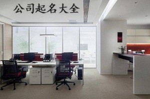 软件公司起名字大全 如何为软件公司起名