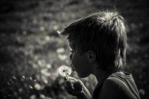2024年8月20日农历七月二十三的婴儿起名推荐 吉利不重复的新生儿好名