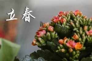 2024年立春是什么时候 2024立春节气是哪天