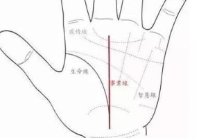 事业线中间断掉代表什么 事业线断开手相分析