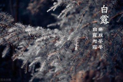 白露的谚语有哪些,有关白露的谚语