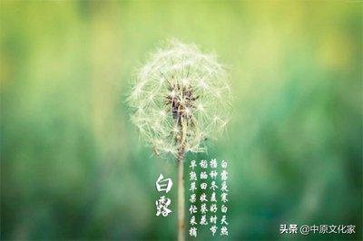 白露的谚语有哪些,有关白露的谚语