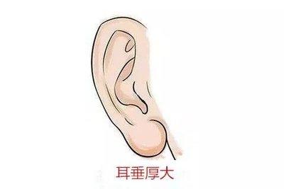 看耳朵能看出命运 怎样的耳朵面相好
