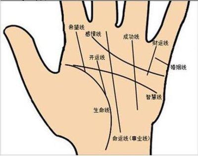 男人手相婚姻线怎么看是什么意思