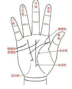 男人手相婚姻线怎么看是什么意思