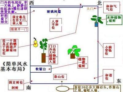 办公室养龟八卦风水 办公室风水学