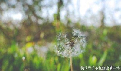 面对生活很乐观 心态很好的生肖性格
