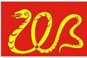 1965年属蛇2024年运势及运程