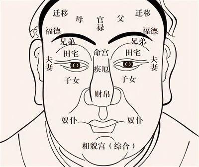 嘴大人的面相 看嘴巴大的人命运如何