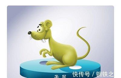 时来运转 属鼠人在什么年份中有好运