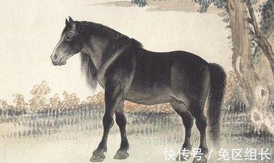 情商高会社交 人缘特别好的几个生肖