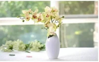 你知道影响桃花运的风水有哪些吗?