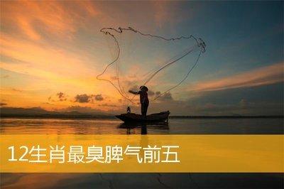 十二生肖谁的脾气最臭 最喜欢发脾气