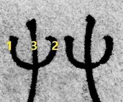 草字头的女孩名字,草字头的字女孩名字