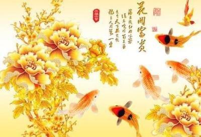 性格温和 跟每个人都能和谐相处的星座