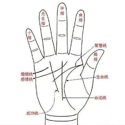 如何看手相你一生中的财富是多还是少