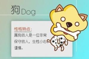 1994年出生属狗人的一生命运准爆了