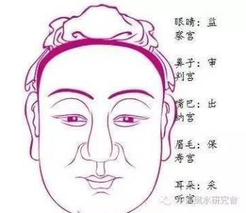 面相怎么看清男人 哪几种面相的男人好