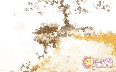 YAO叔2024年11月双子座运势