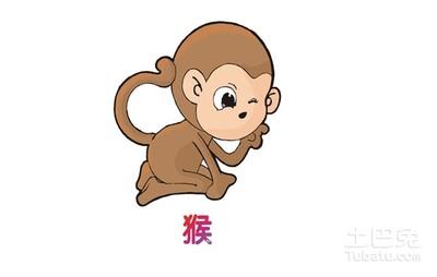 属猴的人出生月的命运哪几个月最好