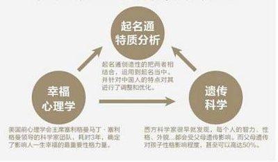 起名注意事项:团队起名需要具有针对性