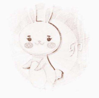 泓翔老师2024年2月生肖兔运势