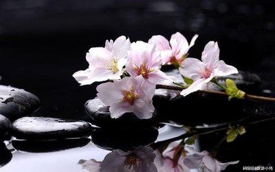博学多才是形容哪些生肖 学习能力很强