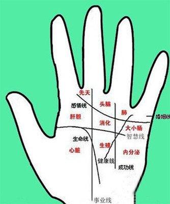 智慧线有横纹穿过说明了什么是不是不好