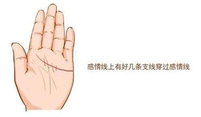 手相感情线看婚姻 感情线看你婚姻是否幸福