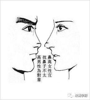 面相解读鼻子有肉的女人运势如何真的准