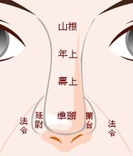 面相解读鼻子有肉的女人运势如何真的准